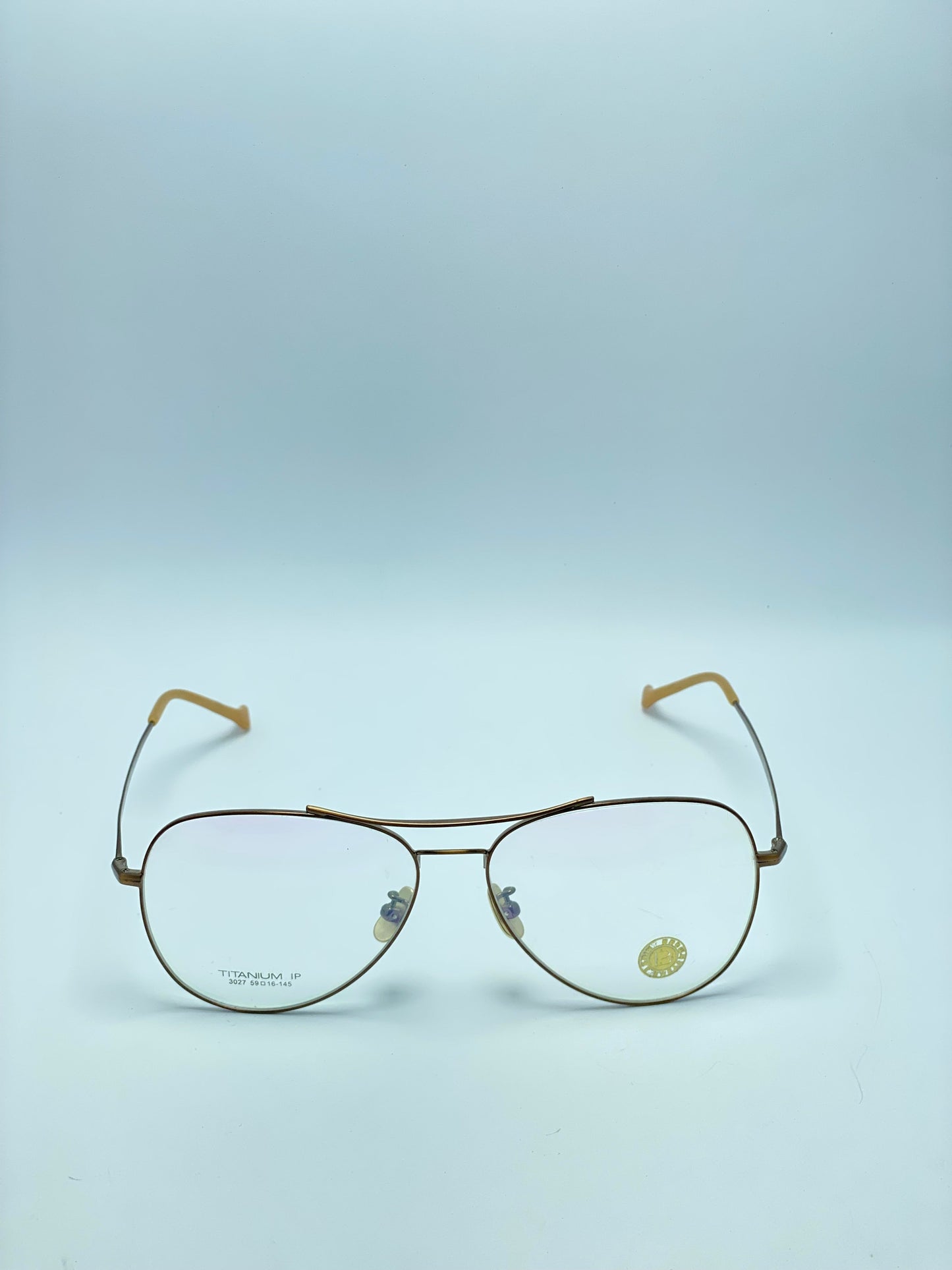 TITANIUM DOUBLE BRIDGE METAL FRAME FOR MEN