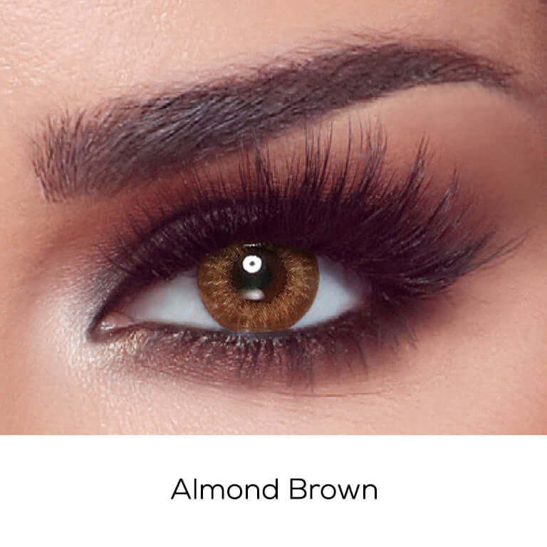 One Day - Almond Brown