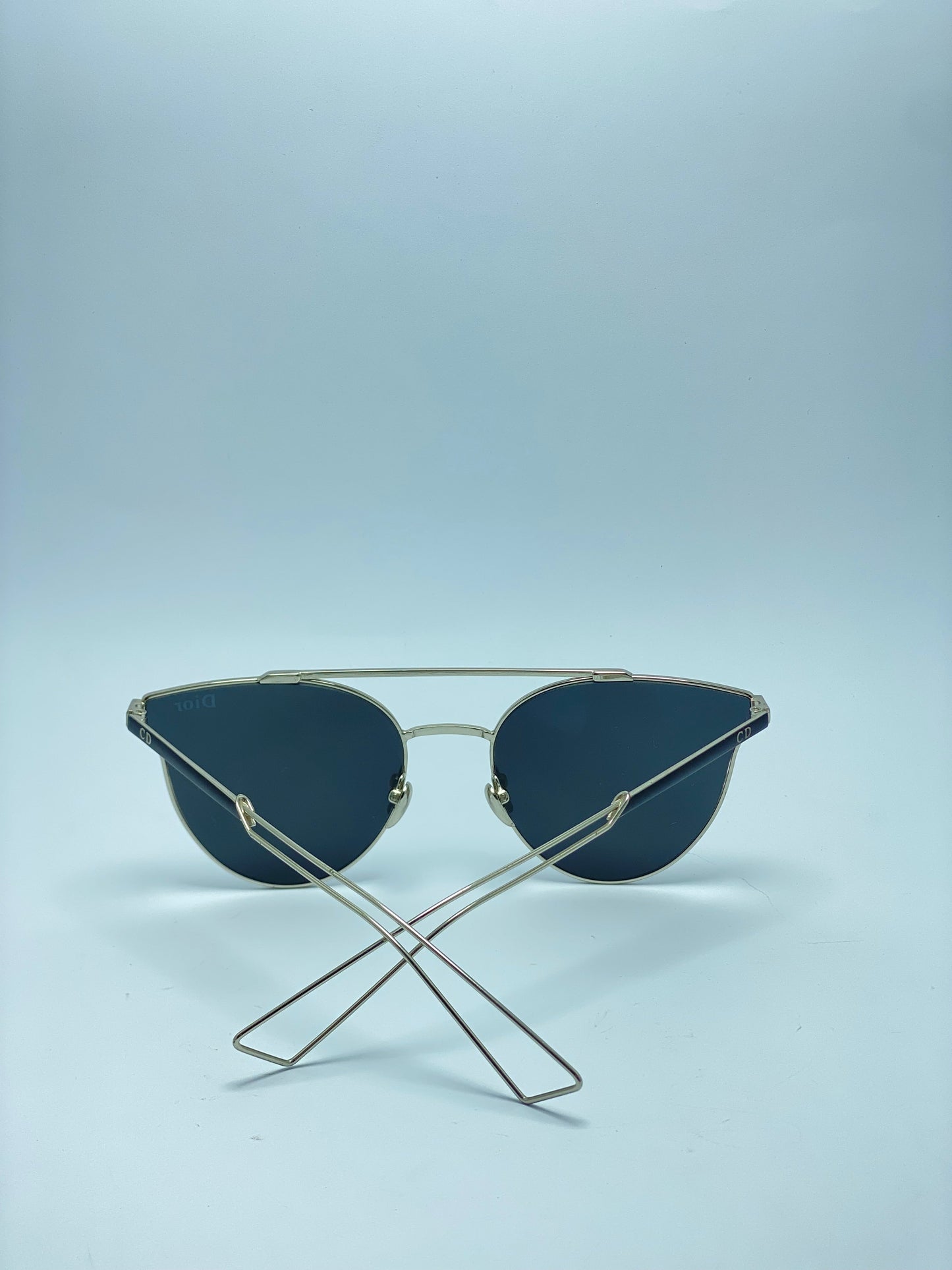 Dior Female Sunglasses