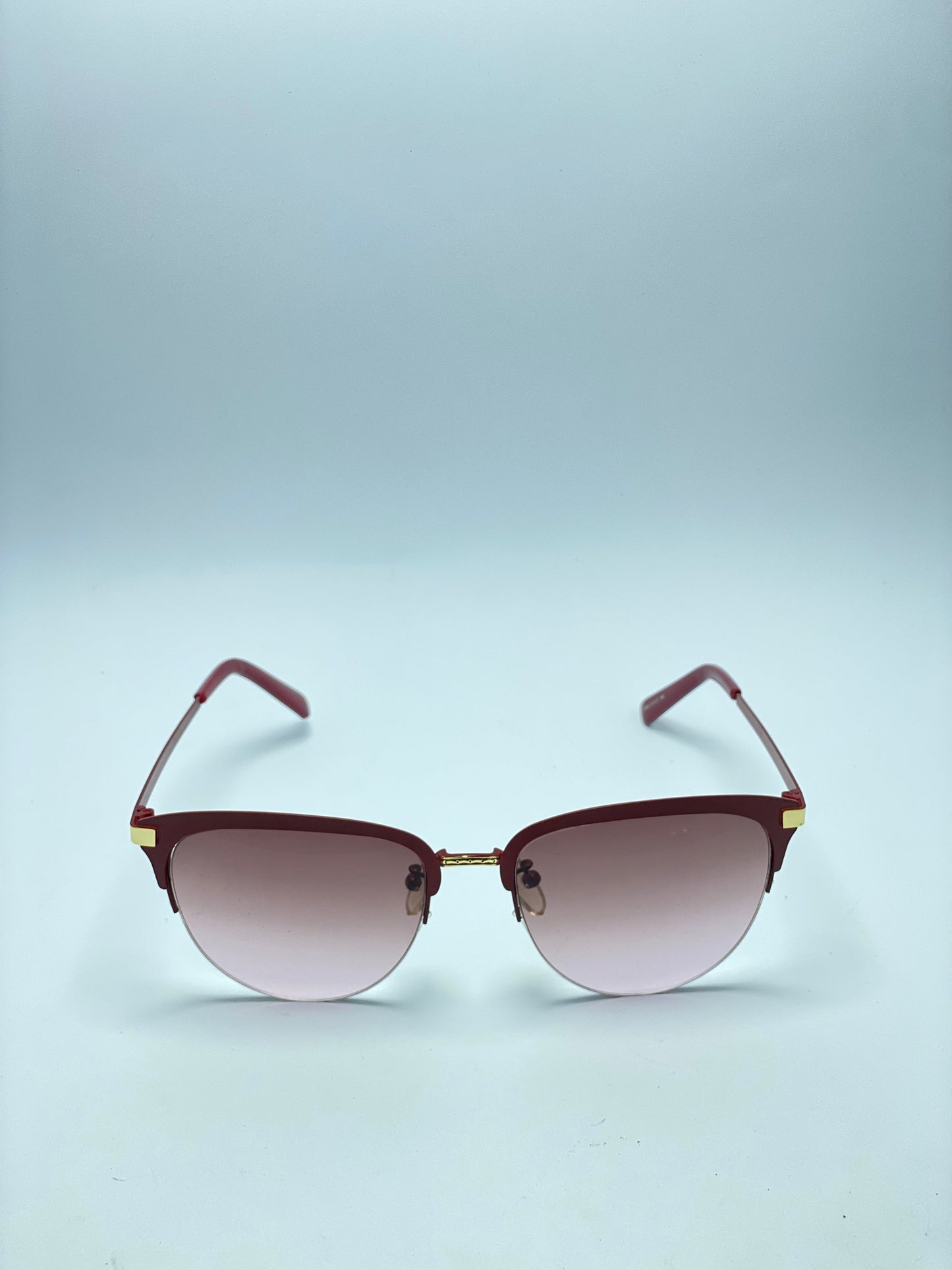 New LONGCHAM Wine Sunglasses For Women.